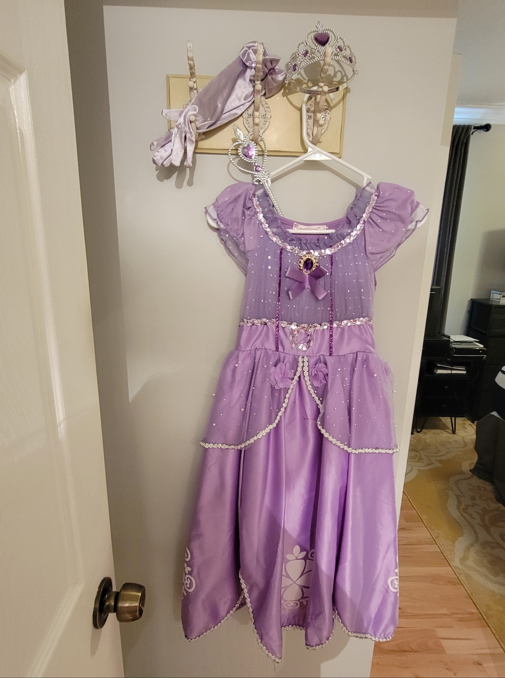 Girls Purple Princess Costume Dress with Tiara and Gloves